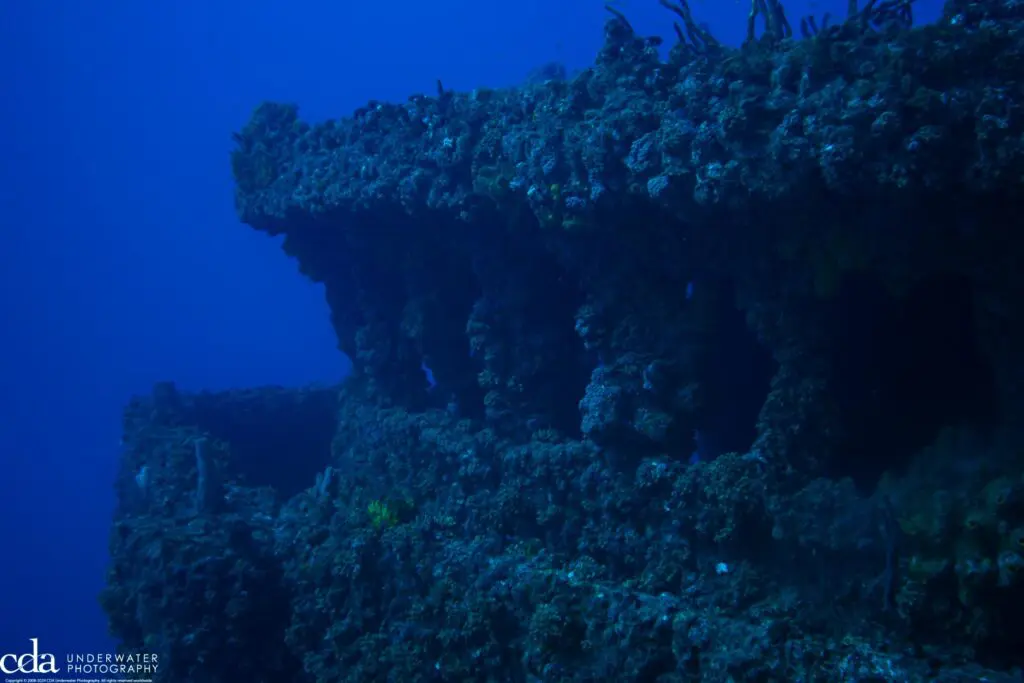 Wreck of the Capt. Dan