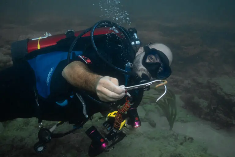 Scuba diver with grappling hook found underwater