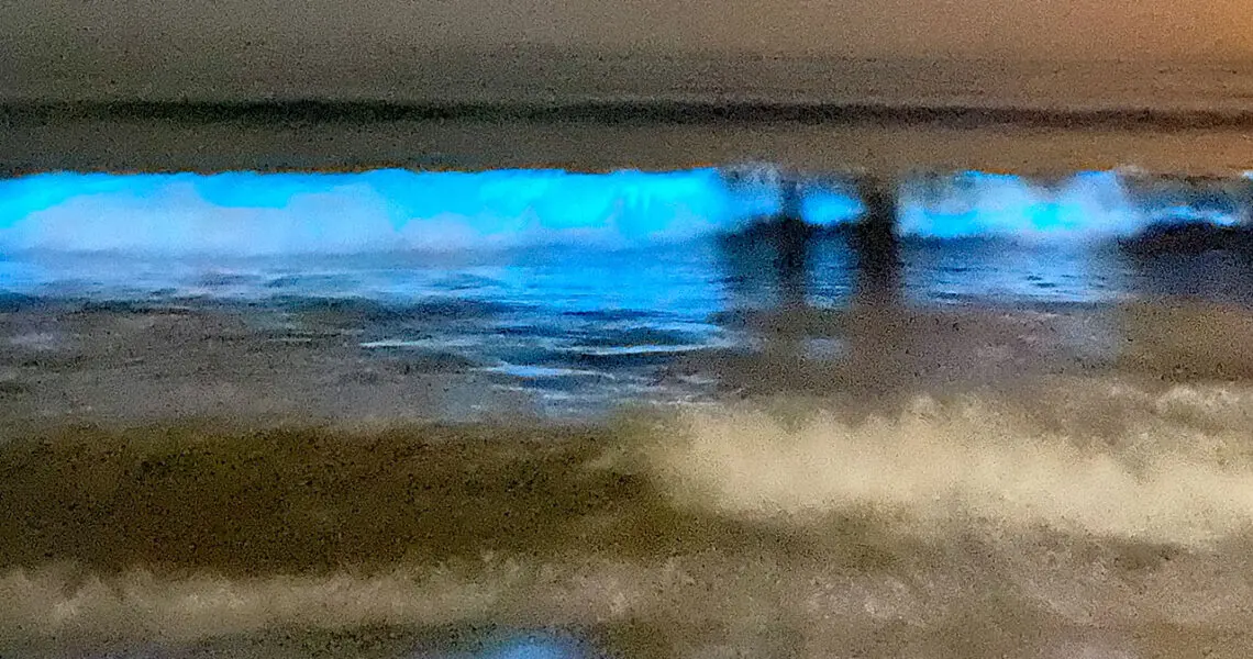 bioluminescence in a breaking wave onshore
