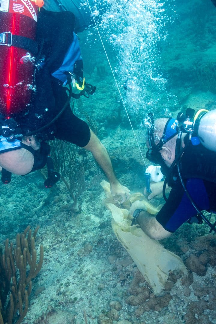 Removing debris from the reef