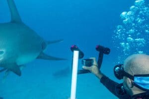 Andre with Hammerhead Shark