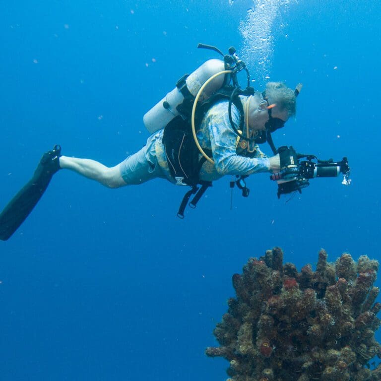 Diver with Excellent Buoyancy Skills