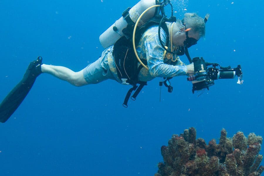 Diver with Excellent Buoyancy Skills