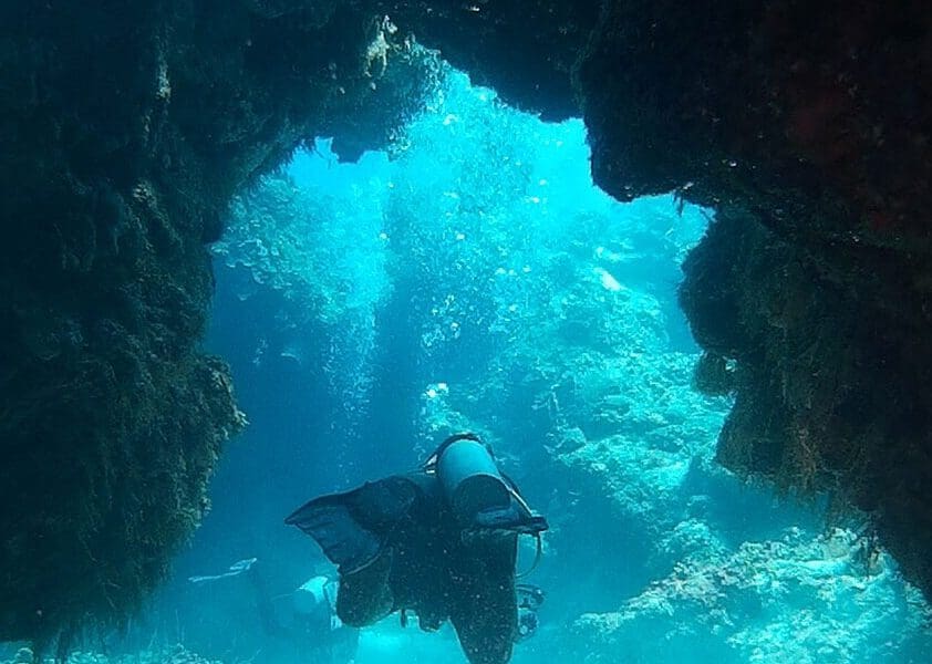 Palancar Reef, Cozumel
