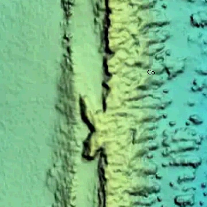 Whale's Tail Reef chart profile