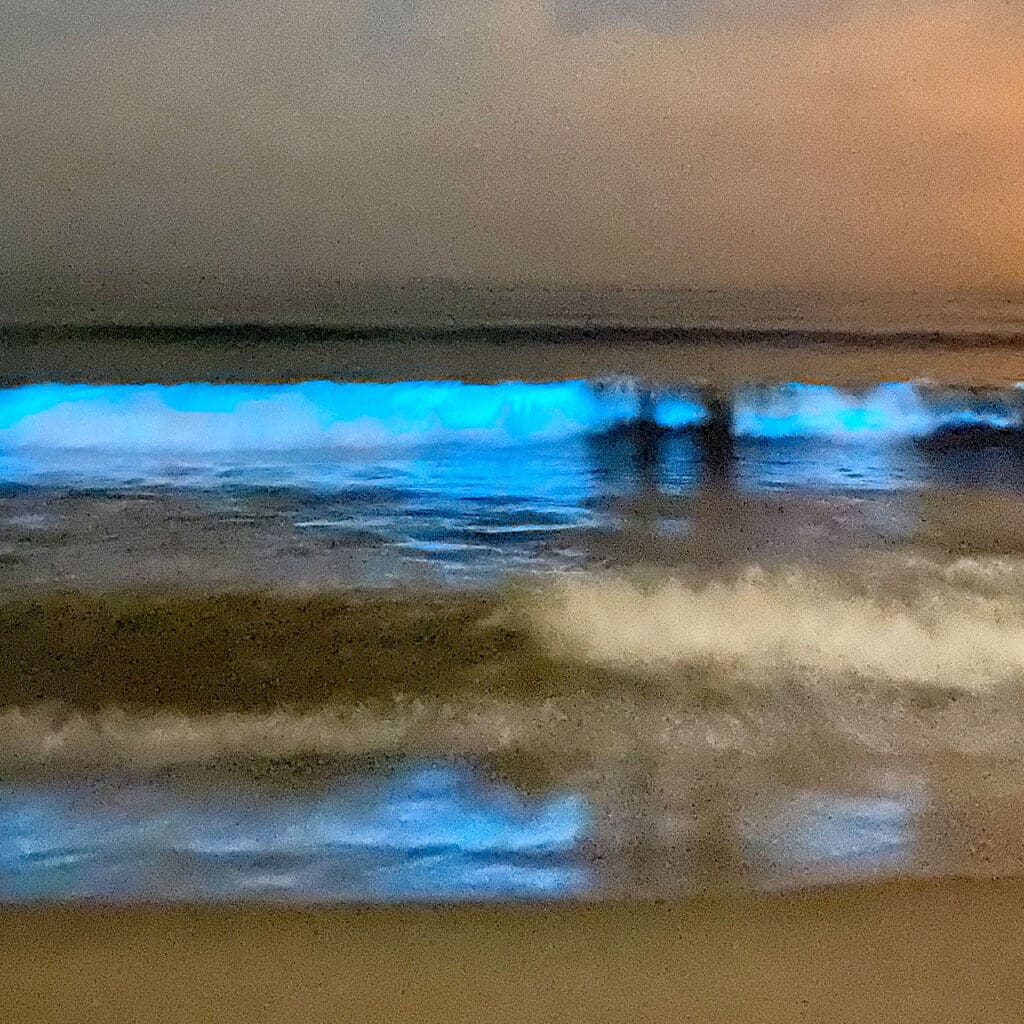 bioluminescence in a breaking wave onshore