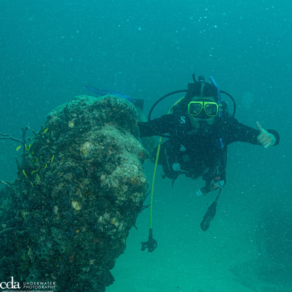 Lion with Samyak Jain