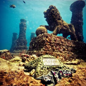 Neptune Memorial Reef