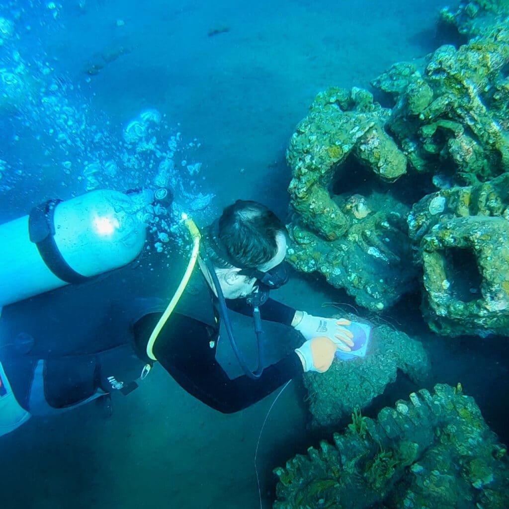 Citizen Scientist in Bali with EarthWatch