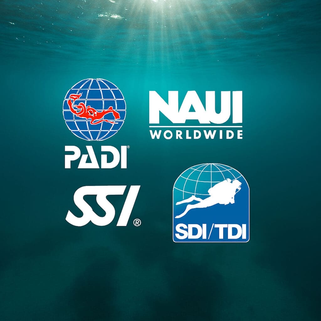 PADI, NAUI, SSI and SDI/TDI certification agencies