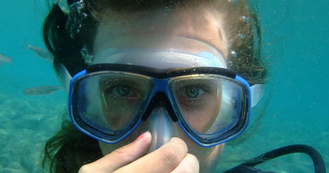 Membership Renewal Time