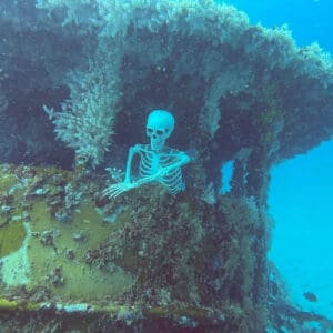 Haunted Wreck Night Dive