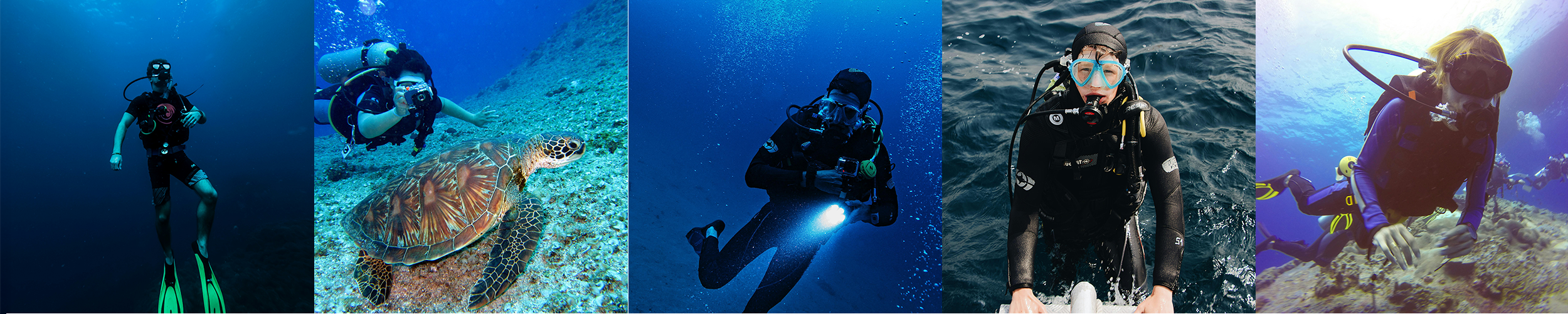 5 different divers in the water