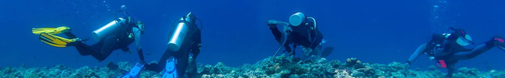 Registration Page Header