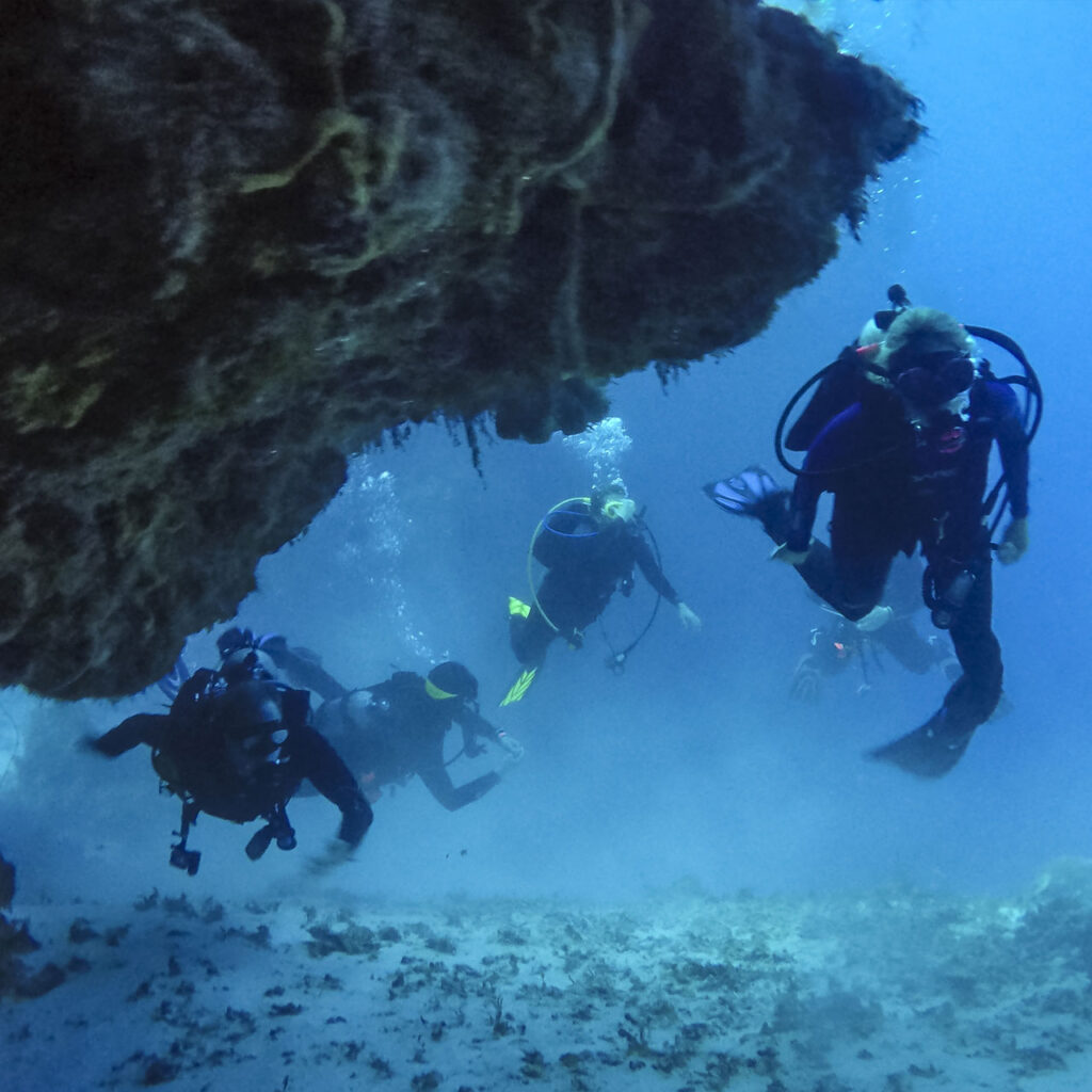 Bucket List Dives